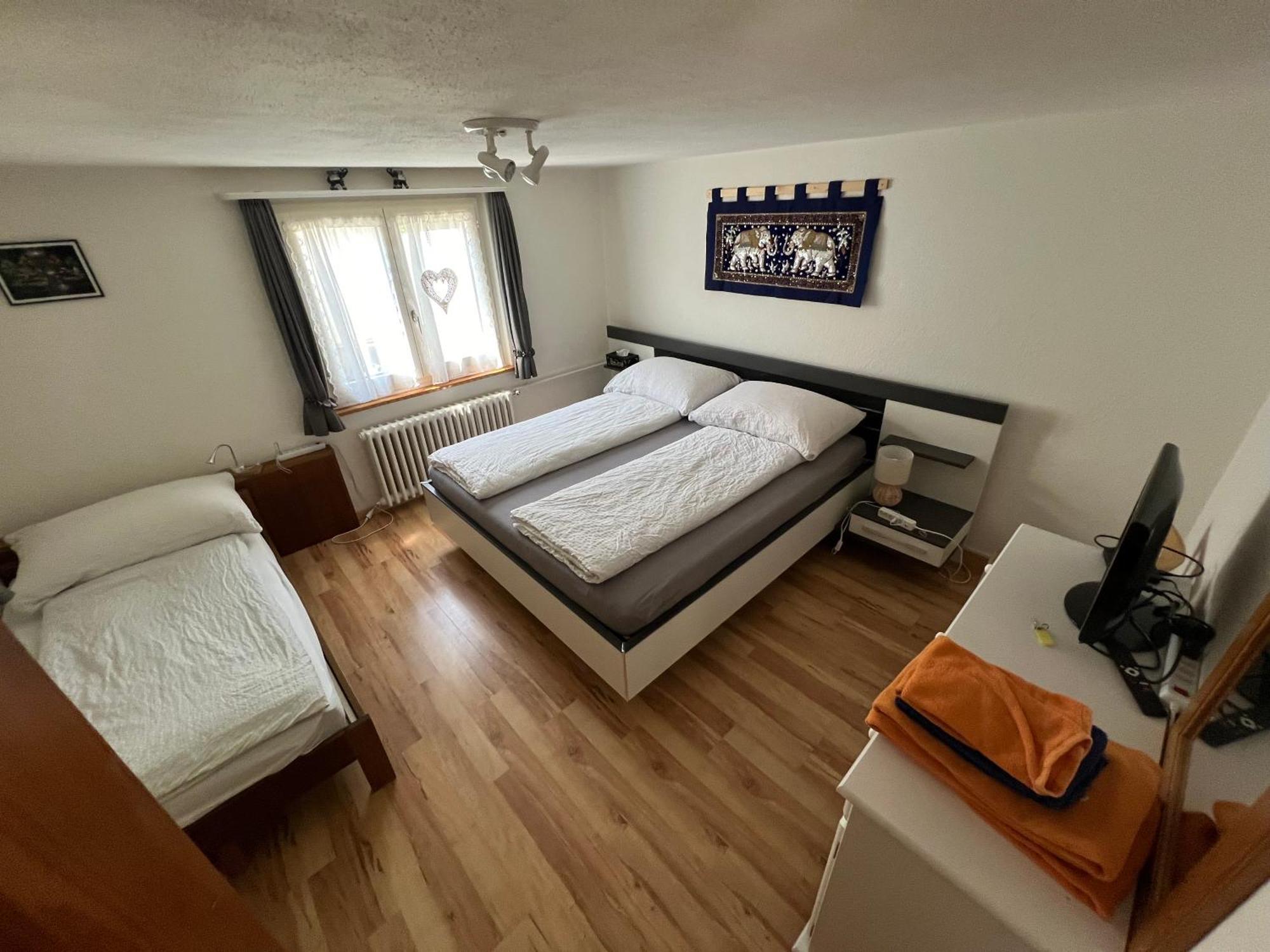 Bristenblick Fluelen